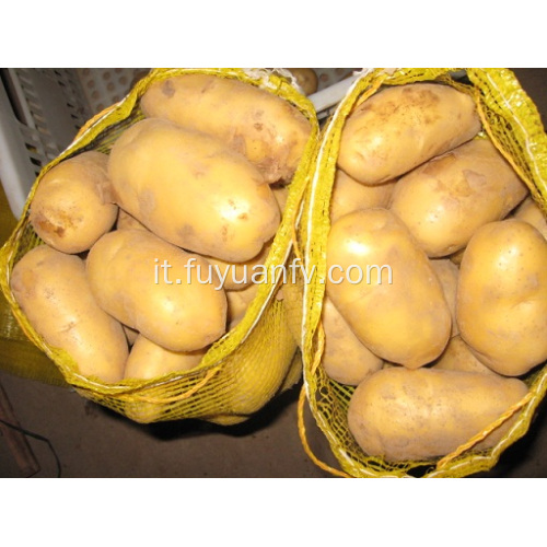 vendita patate fresche shandong